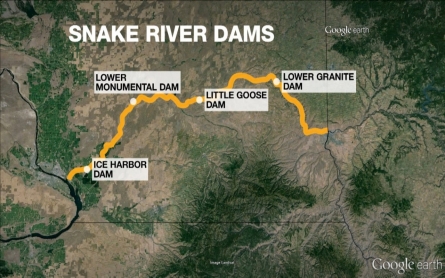 Activists in Washington want Snake River dams removed
